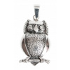 Striebro! Veľká sova sówka - 6,2 gramov prívesok! (Striebro! Veľká sova sówka - 6,2 gramov prívesok!)