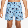 Nike 5 inch Volley Short 5