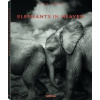 Elephants in Heaven