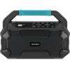 TechniSat Outdoor radiopřijímač DAB+/FM/BT Viola 231 OD, black (0000/2967)