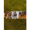 Iron Lore Entertainment TITAN QUEST BUNDLE (PC) Steam Key 10000187970001