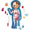 Hape Veľké puzzle ľudské telo