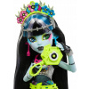 MONSTER HIGH Frankie Stein BÁBIKA SADA BÁBIK DOPLNKY PRE DIEVČATÁ