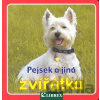 Pejsek a jiná zvířátka - Librex