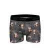 Pánske boxerky John Frank JFBD372