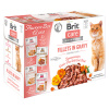Brit Care Cat Flavour box Fillet in Gravy 12 x 85 g