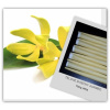 telove-sviecky-ylang-ylang