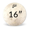 Evans Calftone Priemer blany: 16