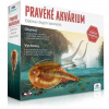 Prehistorické akvárium Albi