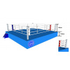 TOP TEN Boxing ring WAKO