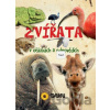 Zvířata v otázkách a odpovědích - SUN