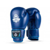 Boxerské rukavice DBX BUSHIDO ARB-407-Blue