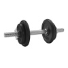 PLATINUM FITNESS Činkový nakladací set - jednoručky 10kg liatinový