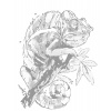 ZUTY Bodkovanie - CHAMELEON Rámovanie: vypnuté plátno na rám, Rozmer: 40x50 cm