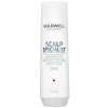 Goldwell Dualsenses Deep Cleansing Shampoo 250 ml