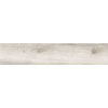 Intermatex LEGNO dlažba Gramercy White 22,5x119,5 (bal=1,61m2) SPH LEG006