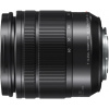 Panasonic Lens G 12-60mm f/3.5-5.6