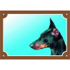 Tabuľka doberman