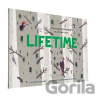 Lifetime - Lola M. Schaefer