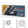 Řetězová sada s ČZ HX-ring Silver DUCATI 1000 Sport S (07-09) rok 07-09