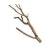HOBBY Korková vetva 75-100cm (HOBBY Korková vetva 75-100cm)