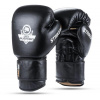 DBX BUSHIDO Boxerské rukavice 14 OZ DBX Striker