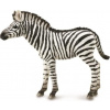 Collecta figúrka ZEBRA FOAL