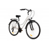 Dámsky trekingový bicykel Goetze Piknik 28