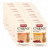 Animonda MAČKA Carny Kitten - MIX vrecko 85g x24