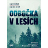 Odbočka v lesích