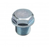 Šruba oleja Suzuki Genuine Oil Drain Plug