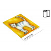 FOMEI Collection Canvas Satin, 61,0cm x 12m, 1 role, 350 g/m2