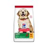 Hill's, USA HILLS SP Ca Puppy Large Breed Chicken 2,5 kg