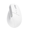 Trust Bayo+ Multidevice Ergonomic Wireless Mouse 25399