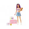 Mattel Barbie Skipper Opatrovateľka