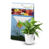 Symbiom Algavit 100g