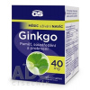 GS Ginkgo 40 mg tbl (s Gotu kola) 90+30 zadarmo (120 ks)