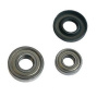 Ložiská SKF 6204 6305 Kit Bosch Maxx 7 (Ložiská SKF 6204 6305 Kit Bosch Maxx 7)
