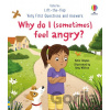 Why do I (sometimes) feel angry? - Katie Daynes, Amy Willcox (ilustrátor)