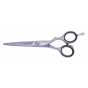 JAGUAR 4752-12 Pastell Plus Lavender 5,5