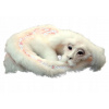 NEKONEČNÝ PRÍBEH DRAGON FALKOR 32 CM NIKDY (NEKONEČNÝ PRÍBEH DRAGON FALKOR 32 CM NIKDY)