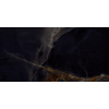Emil Dlažba Tele Di Marmo Onyx black 60x120 cm lesk EKTM