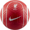 Nike Liverpool FC Strike