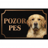 Zlatý retríver - Kovová tabuľka POZOR PES