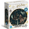 DODO Harry Potter Snape Harry a Draco 500 dielov