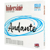 Hidersine Andante Cello set