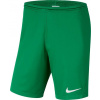 Nike Kraťasy JR Park III Knit 302 velikost 122 cm (BV6865-302)