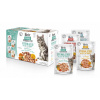 Brit Care Fillets in Gravy Sterilized mix príchutí v mačacej omáčke 12 x 85 g