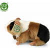 Eco-Friendly Rappa morča 17 cm