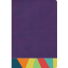 Rvr 1960 Biblia de Estudio Arcoiris, Morado/Multicolor